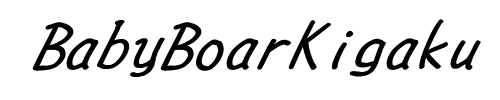 BabyBoarKigaku